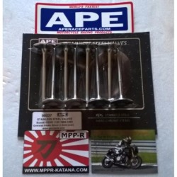 https://mppr-katana.addibizz.site/upload/import/03/APE-Soupapes-admission-Racing-30mm-Suzuki-1100-GsxR-1200-Gsf-Bandit-zoom.jpg