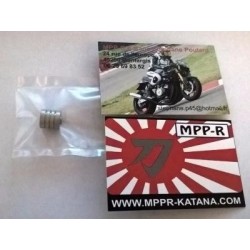 https://mppr-katana.addibizz.site/upload/import/10/Mikuni-RS-Piston-pompe-de-reprise-big.jpg